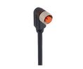 Cordset, M12 Socket - Bare End, 12 Conductors, 2m, IP67, Black